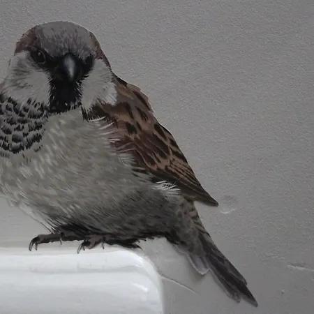 Bommels Bed 아파트 잘트보멀